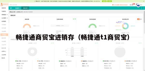 畅捷通商贸宝进销存（畅捷通t1商贸宝）