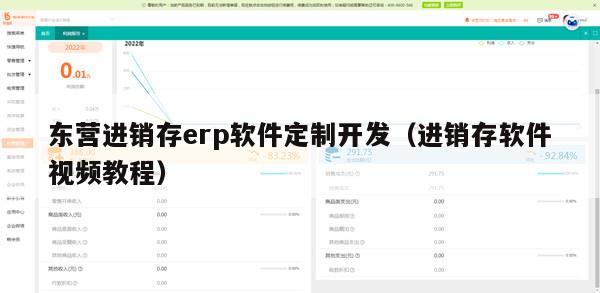 东营进销存erp软件定制开发（进销存软件视频教程）