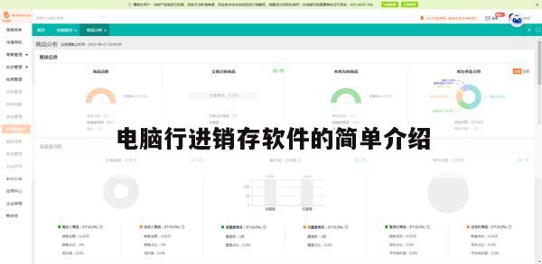 电脑行进销存软件的简单介绍