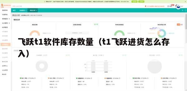 飞跃t1软件库存数量（t1飞跃进货怎么存入）