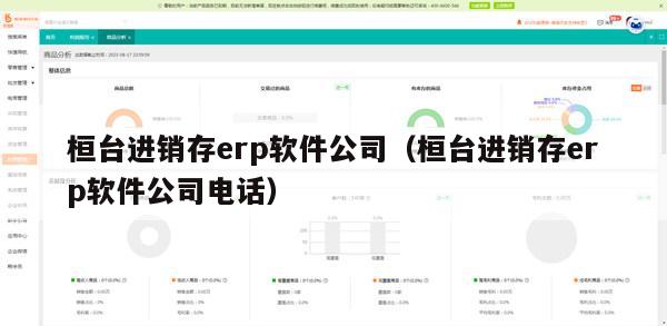 桓台进销存erp软件公司（桓台进销存erp软件公司电话）