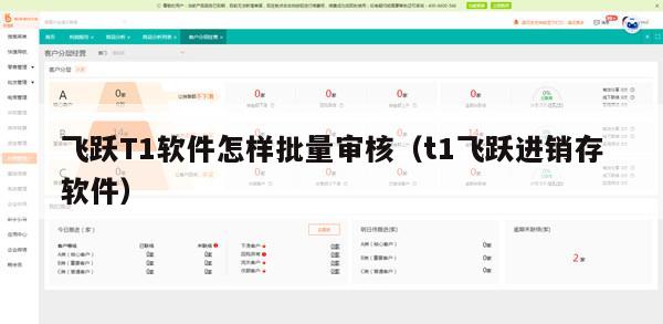 飞跃T1软件怎样批量审核（t1飞跃进销存软件）