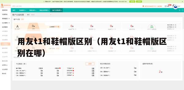 用友t1和鞋帽版区别（用友t1和鞋帽版区别在哪）
