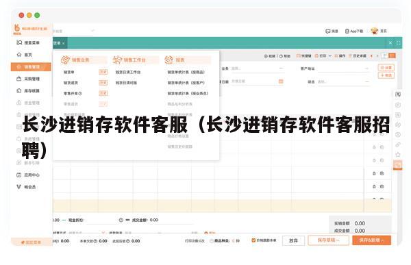 长沙进销存软件客服（长沙进销存软件客服招聘）