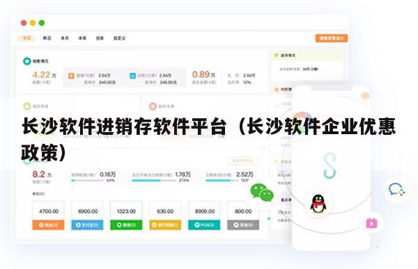 长沙软件进销存软件平台（长沙软件企业优惠政策）