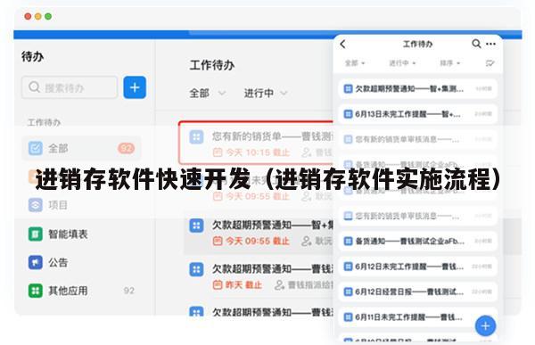 进销存软件快速开发（进销存软件实施流程）