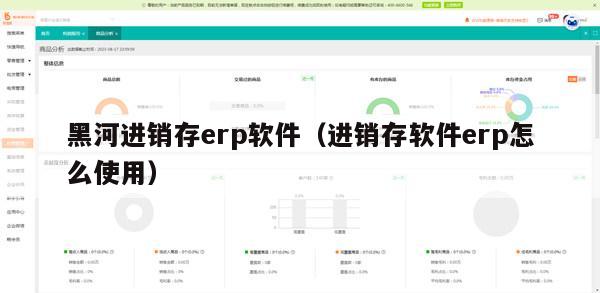 黑河进销存erp软件（进销存软件erp怎么使用）
