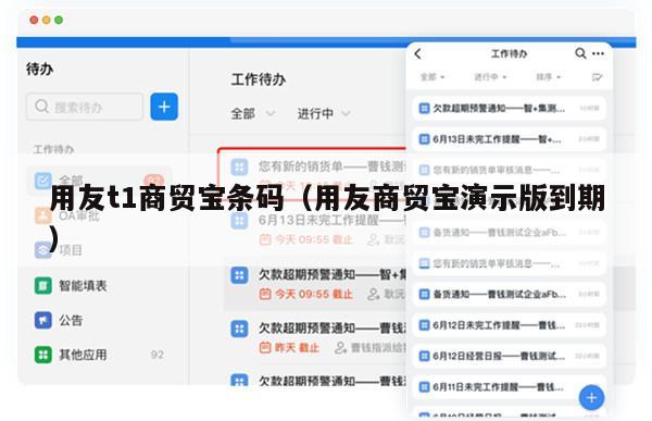 用友t1商贸宝条码（用友商贸宝演示版到期）