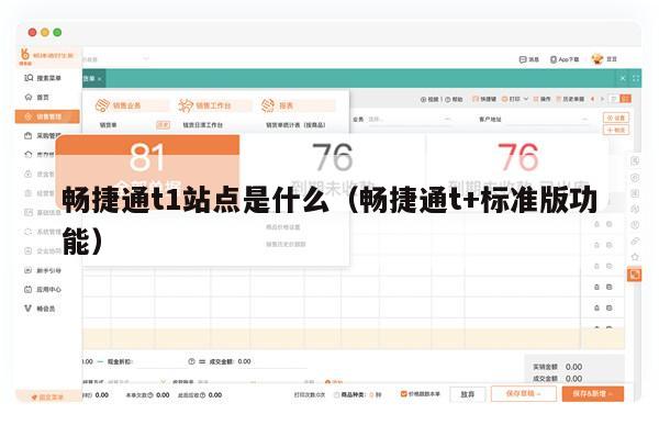 畅捷通t1站点是什么（畅捷通t+标准版功能）