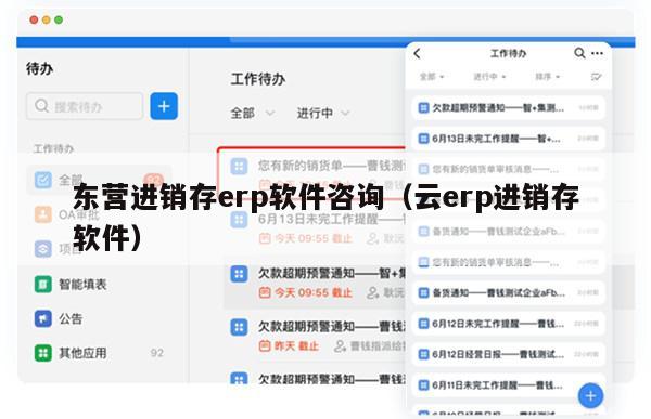 东营进销存erp软件咨询（云erp进销存软件）
