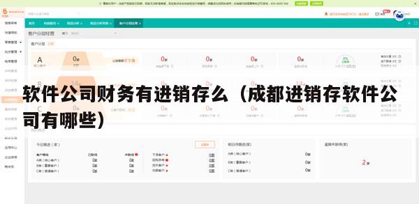 软件公司财务有进销存么（成都进销存软件公司有哪些）