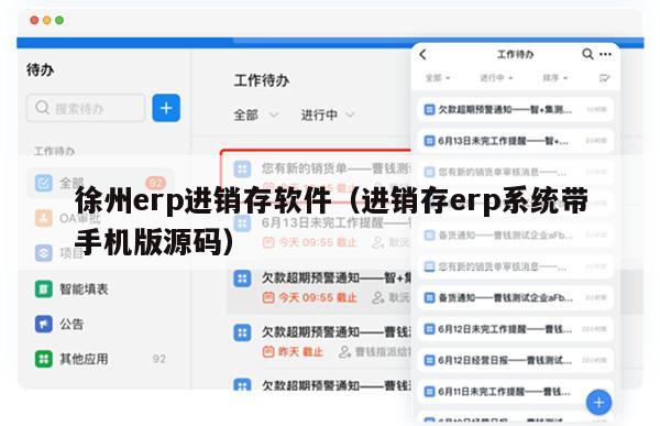 徐州erp进销存软件（进销存erp系统带手机版源码）