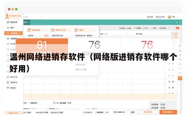 温州网络进销存软件（网络版进销存软件哪个好用）
