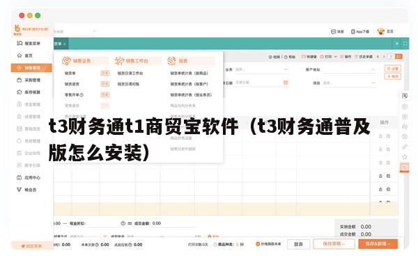 t3财务通t1商贸宝软件（t3财务通普及版怎么安装）