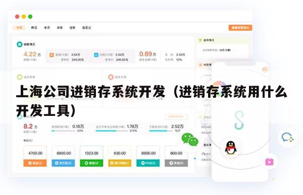 上海公司进销存系统开发（进销存系统用什么开发工具）