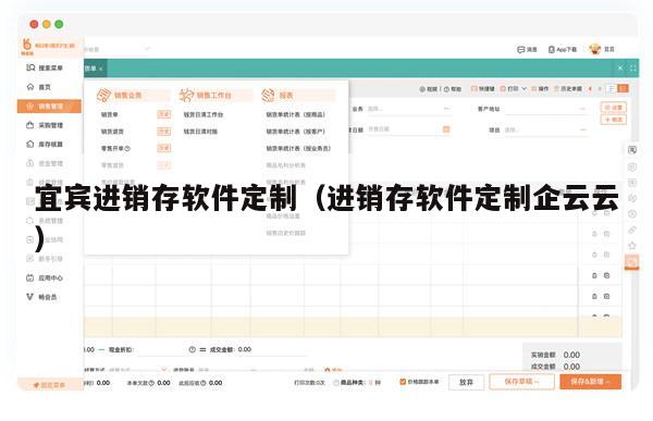 宜宾进销存软件定制（进销存软件定制企云云）