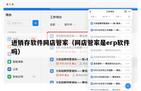 进销存软件网店管家（网店管家是erp软件吗）