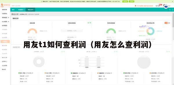 用友t1如何查利润（用友怎么查利润）