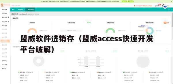 盟威软件进销存（盟威access快速开发平台破解）