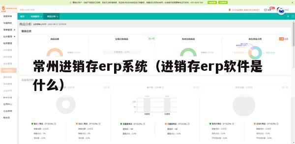 常州进销存erp系统（进销存erp软件是什么）