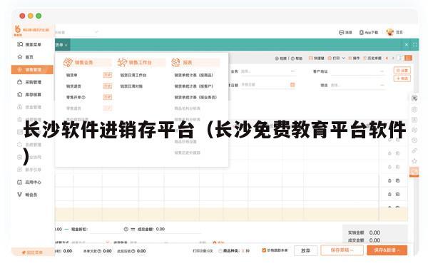 长沙软件进销存平台（长沙免费教育平台软件）