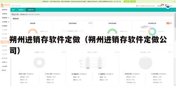朔州进销存软件定做（朔州进销存软件定做公司）