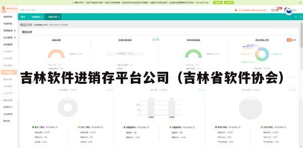 吉林软件进销存平台公司（吉林省软件协会）