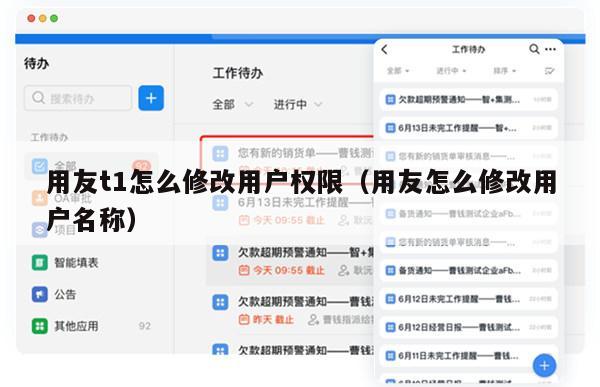 用友t1怎么修改用户权限（用友怎么修改用户名称）