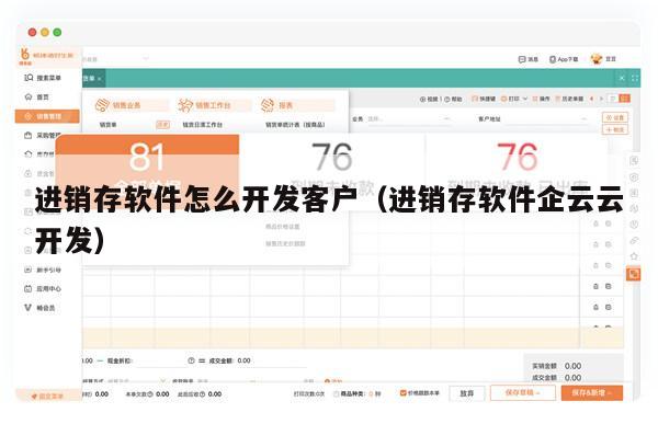 进销存软件怎么开发客户（进销存软件企云云开发）