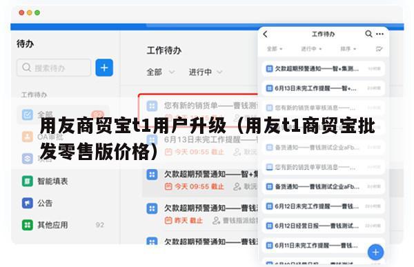 用友商贸宝t1用户升级（用友t1商贸宝批发零售版价格）