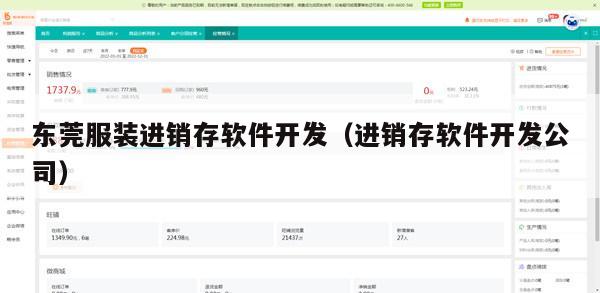 东莞服装进销存软件开发（进销存软件开发公司）