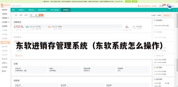 东软进销存管理系统（东软系统怎么操作）
