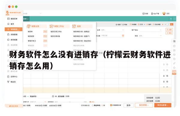 财务软件怎么没有进销存（柠檬云财务软件进销存怎么用）