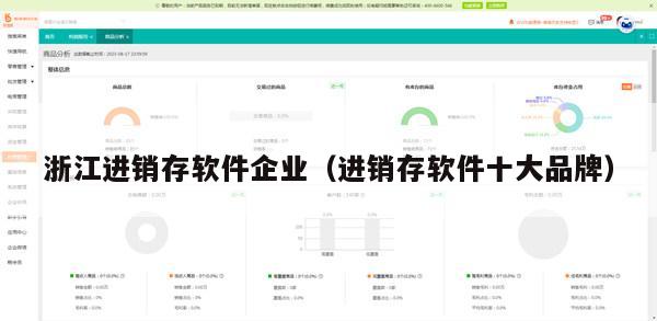 浙江进销存软件企业（进销存软件十大品牌）