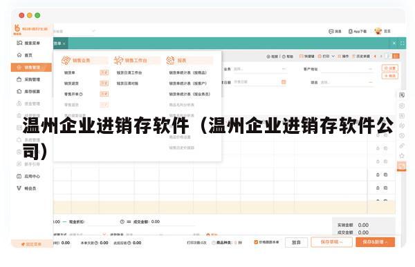 温州企业进销存软件（温州企业进销存软件公司）