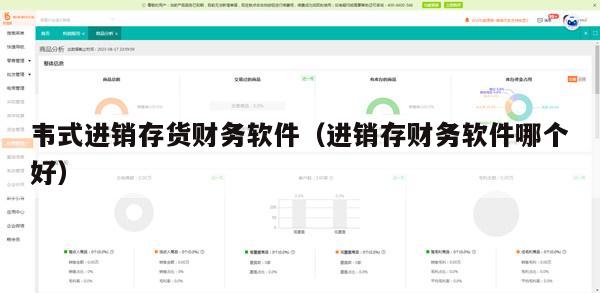 韦式进销存货财务软件（进销存财务软件哪个好）