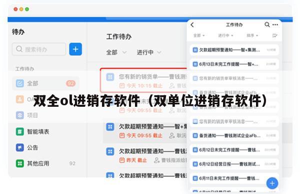 双全ol进销存软件（双单位进销存软件）