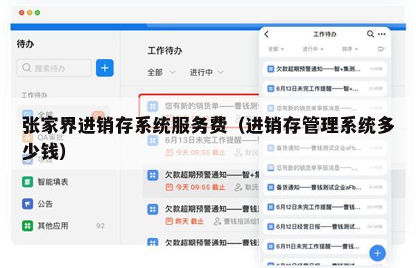 张家界进销存系统服务费（进销存管理系统多少钱）