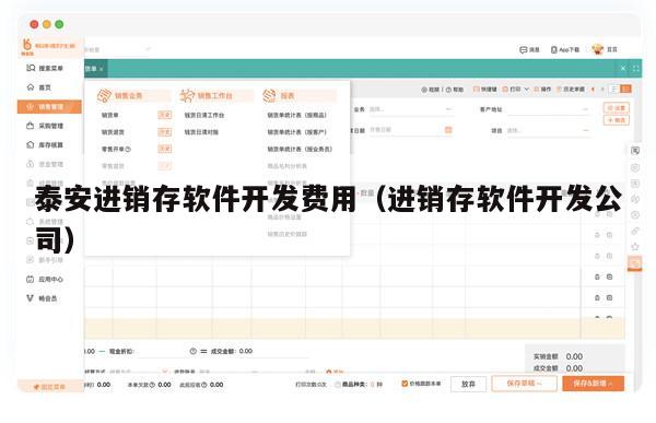 泰安进销存软件开发费用（进销存软件开发公司）