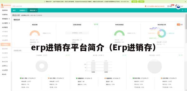 erp进销存平台简介（Erp进销存）