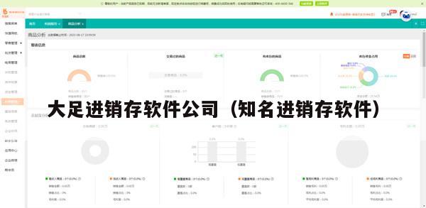 大足进销存软件公司（知名进销存软件）