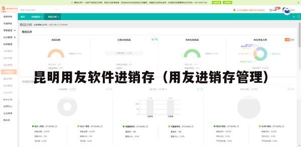昆明用友软件进销存（用友进销存管理）