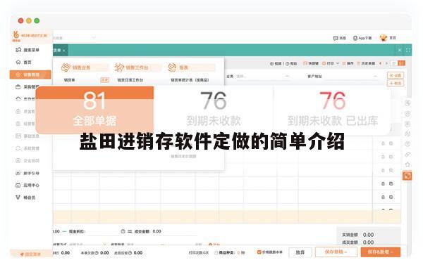 盐田进销存软件定做的简单介绍