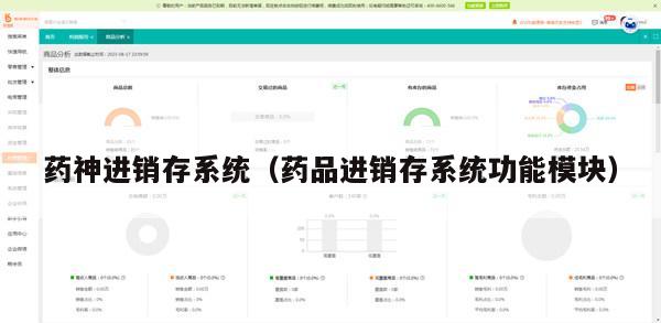 药神进销存系统（药品进销存系统功能模块）