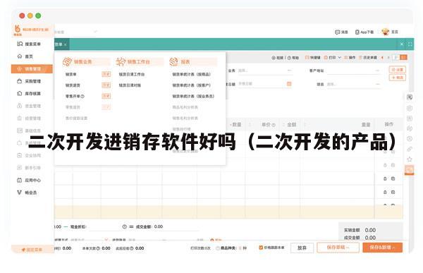 二次开发进销存软件好吗（二次开发的产品）