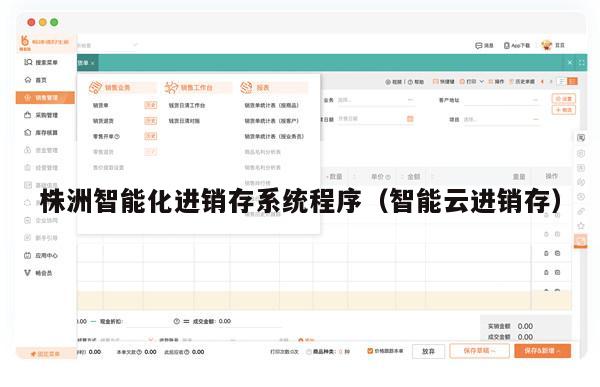 株洲智能化进销存系统程序（智能云进销存）