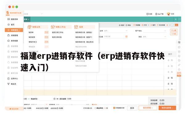 福建erp进销存软件（erp进销存软件快速入门）