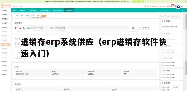 进销存erp系统供应（erp进销存软件快速入门）