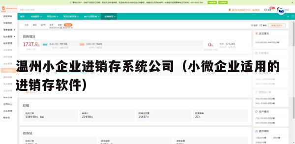 温州小企业进销存系统公司（小微企业适用的进销存软件）