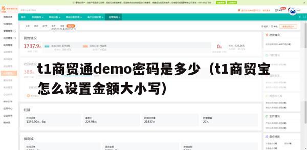 t1商贸通demo密码是多少（t1商贸宝怎么设置金额大小写）